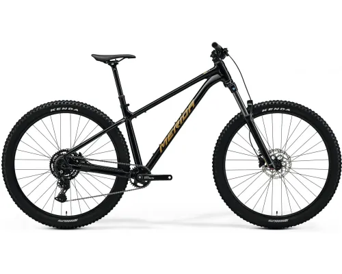 Велосипед 29" Merida BIG.TRAIL 300 (2025) black, S
