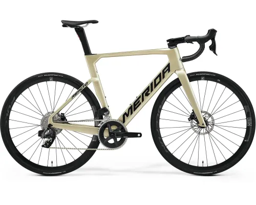 Велосипед 28" Merida REACTO RIVAL-EDITION (2023) silk champagne, XS