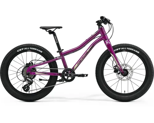 Велосипед дитячий MERIDA, MATTS J.20+, PURPLE(BLACK/CHAMPAGNE), 2023