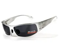 Окуляри захисні відкриті Global Vision BAD-ASS-2 Silver (gray), чорні у сріблястій металевій оправі (1БЕД2-СМ20)